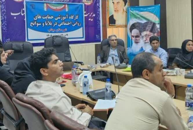 برگزاری کارگاه توانمندسازی روانشناسان میناب در حوزه مداخلات بحران