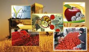 افزایش ۱۰۰ هزار تنی ظرفیت جذب مواد خام کشاورزی در هرمزگان