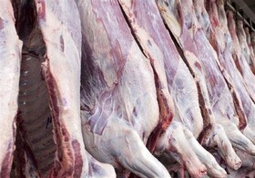 عرضه گوشت‌های ارزان قیمت در قصابی‌های فاقد مجوز
