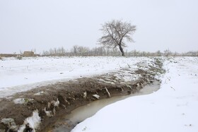 بارش برف بهاری در چناران