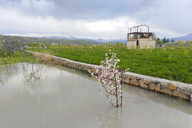 طغیان رودخانه دره آبقد چناران