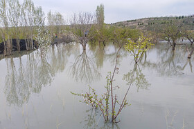 طغیان رودخانه دره آبقد چناران