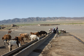 دام‌ها از همان محلی آب می‌نوشند که اهالی روستا دبه هایشان را با آن پر می‌کنند – روستای بشیرآباد