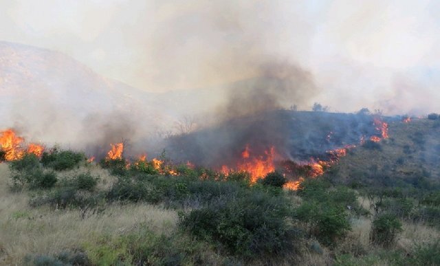 25 هکتار از اراضی مرتعی کلیلاق فریمان در آتش سوخت