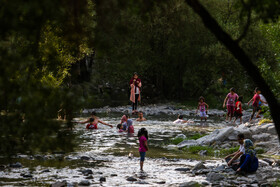 متاسفانه دوباره در حال بازگشتن به شرایط شیوع گسترده کرونا در اسفندماه سال گذشته هستیم.