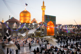 حال و هوای حرم مطهر رضوی در آستانه میلاد حضرت رضا(ع)