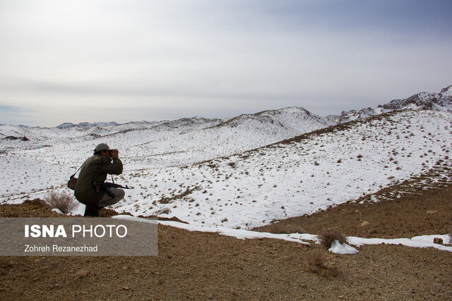 عکس آرشیوی است عرصههای طبیعی و مناطق شکار ممنوع تایباد و باخرز فقط ۲ محیطبان دارند