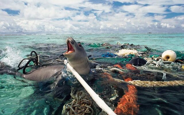 پلاستیک‌های سرگردان روزهای کرونایی