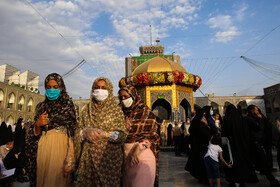 حرم رضوی در شب میلاد امام رضا (ع)