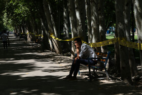 تعطیلی دوباره بوستان های مشهد به علت اعلام وضعیت قرمز