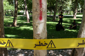 تعطیلی دوباره بوستان های مشهد به علت اعلام وضعیت قرمز