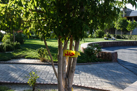 تعطیلی دوباره بوستان های مشهد به علت اعلام وضعیت قرمز