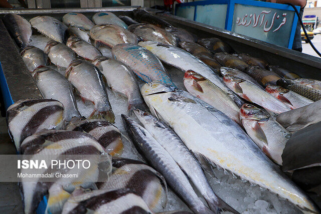 کلات سومین شهرستان تولید کننده شیلات در خراسان رضوی