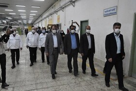 خراسان رضوی در رتبه اول تولید پنبه قرار دارد