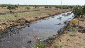 آبیاری محصولات کشاورزی با پساب فاضلاب کارخانه‌ها
