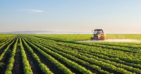صادرات محصولات کشاورزی چندین برابر درآمدهای نفتی عایدی خواهد داشت