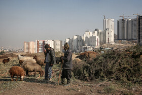 باوجود ساخت‌‌ و سازهای فراوان در اطراف دو روستای «چشمه‌پونه» و «کلاته سرهنگ»، امکان ساخت و ساز و بازسازی برای مردم این روستا وجود ندارد.