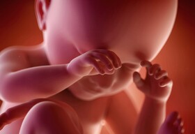 کشف مکانیسم مولکولی که از جنین در برابر عفونت مادر محافظت می‌کند