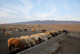 در گذشته اهالی روستا از همان محلی دبه هایشان را با آن پر میکردند که دامهایشان از آنجا آب مینوشند.
