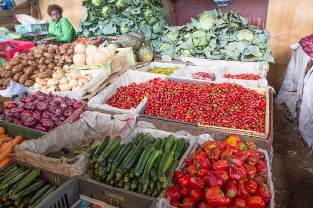 کدام مهمتر است، امنیت غذایی یا امنیت تغذیه؟ کدام مهمتر است، امنیت غذایی یا امنیت تغذیه؟