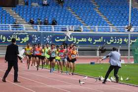 مسابقات بین‌المللی دو و میدانی جام امام رضا(ع) در مشهد