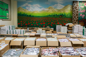 انهدام باند بزرگ قاچاق دارو در فرودگاه مشهد