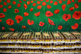 انهدام باند بزرگ قاچاق دارو در فرودگاه مشهد