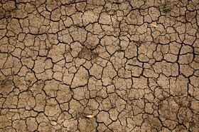 ۸۸ درصد پهنه اقلیمی کاشمر درگیر خشکسالی است