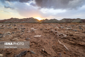 «خشکسالی» و رویکرد واکنشی مبتنی بر مدیریت بحران