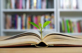 برای از بین بردن حزن و اندوه چه کتابی بخوانیم؟
