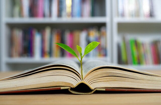 برای از بین بردن حزن و اندوه چه کتابی بخوانیم؟