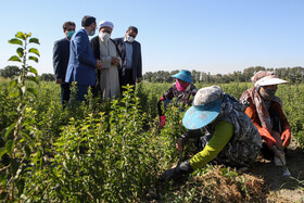 آیین رونمایی از دستاوردهای فناورانه بنیاد موقوفات آستان قدس