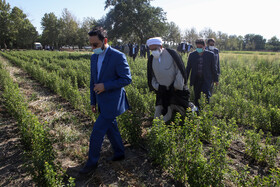 آیین رونمایی از دستاوردهای فناورانه بنیاد موقوفات آستان قدس