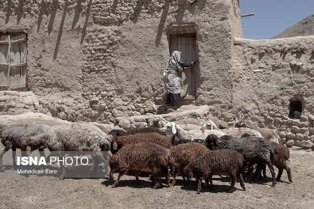 زخمِ کاری خشکسالی بر جان کلاته عرب‌ها