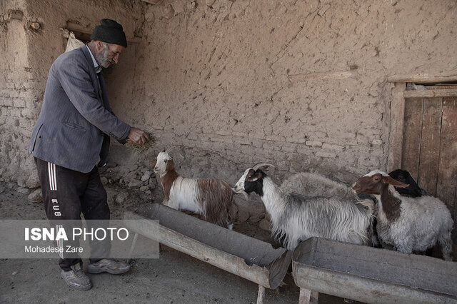  اگر می‌خواهیم در زمستان گوشت داشته باشیم، هم اکنون باید به فکر باشیم