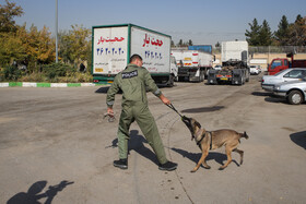 انهدام باند بزرگ مسلحانه قاچاق شیشه در مشهد