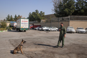 انهدام باند بزرگ مسلحانه قاچاق شیشه در مشهد