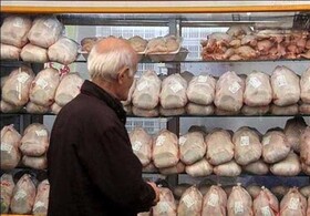 قیمت مرغ کاهش پیدا می‌کند