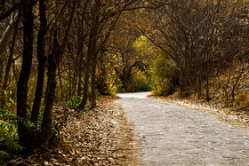 طبیعت پاییزی پارک ملی تندوره