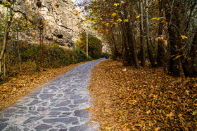 طبیعت پاییزی پارک ملی تندوره