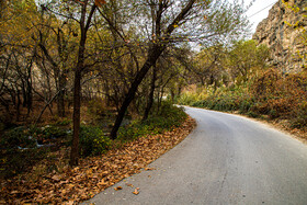 طبیعت پاییزی پارک ملی تندوره
