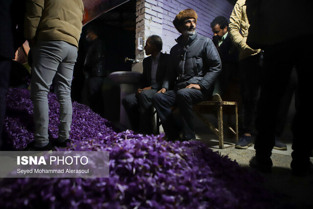 عکس از آرشیو است سهم ما از بازار ۸ میلیارد دلاری زعفران کمتر از ۲۰۰ میلیون دلار است