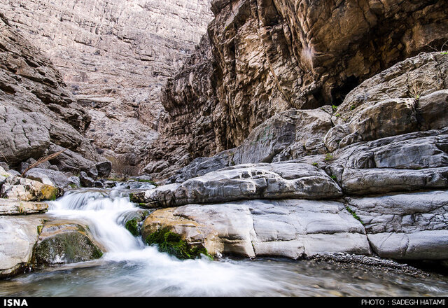 ارزش بالای اکوتوریستی شمخال به دلیل تنوع گونههای گیاهی و جانوری است