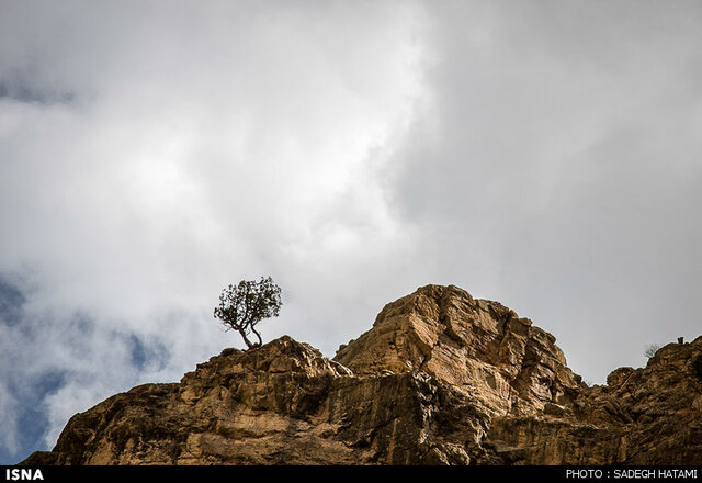 ارزش بالای اکوتوریستی شمخال به دلیل تنوع گونههای گیاهی و جانوری است