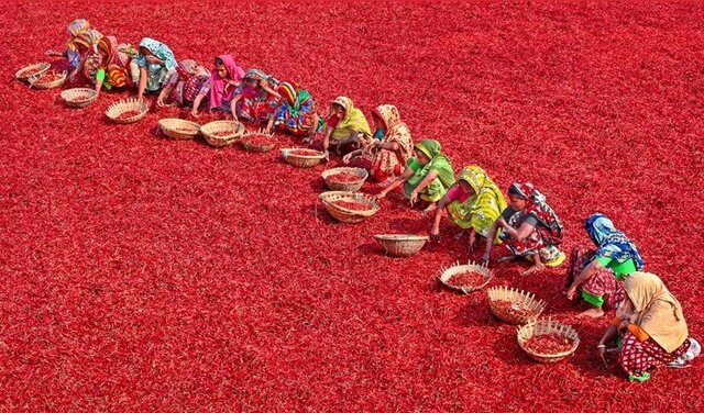 تجربه طعمهای جدید و آشنایی با فرهنگ غذایی ملل مختلف در «گردشگری غذایی»