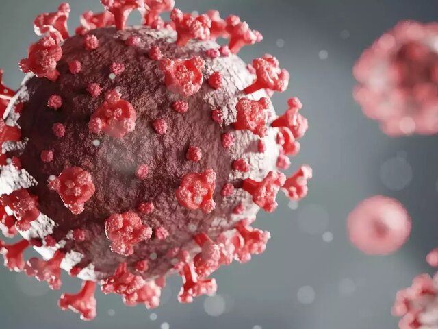 دانشمندان نوع دوم اُمیکرون را شناسایی کردند دانشمندان نوع دوم اُمیکرون را شناسایی کردند