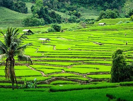 گردشگری کشاورزی از چه زمانی آغاز شد؟