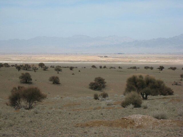 زوال مهمترین ذخیرهگاه بادامشک منطقه ترشیز زوال مهمترین ذخیرهگاه بادامشک منطقه ترشیز