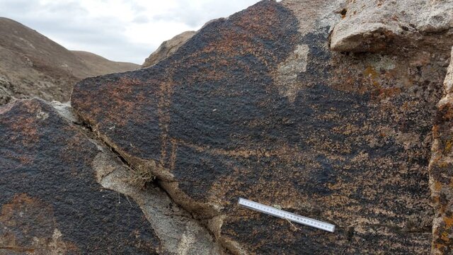 قدمت ۴۰ هزار ساله سنگنگارههای تازه کشف شده مشهد