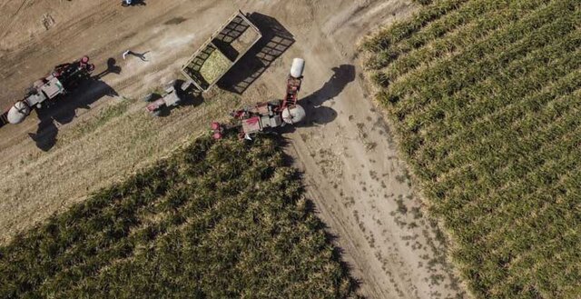 عکس تزئینی است صدور نخستین موافقت اولیه پیادهسازی گردشگری کشاورزی در سبزوار